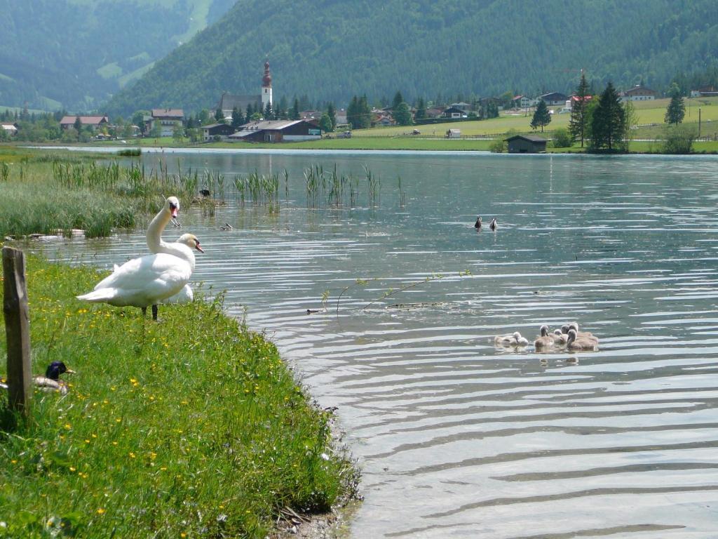 Appartement Pillersee Sankt Ulrich am Pillersee Bagian luar foto